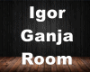 Igor Room Ganja