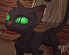 Green Eyes Black Cat