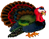Animated Turkey