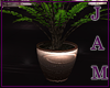 J!:Rella Plant v2