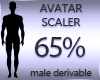 Avatar Scaler 65%