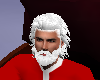 Santa Claus Hair
