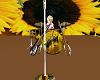 sunflower band set