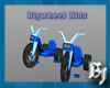 Bigwheel Blue