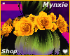 Bynx 2.0 F Roses 2