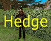 !ASW hedge