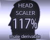 Head Resizer 117%