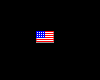 Tiny USA Flag