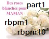 Roses blanches (part1)