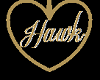 Hawk Necklace V1