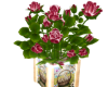 Easter Roses Glow Pot