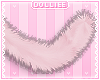 D. Kitten Tail Candy