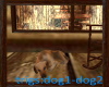 [D]Lodge Dog w/snds