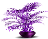 Glittery purple plant