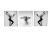 shadow art trio