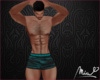 DELUXE BULGE  BOXERS V1