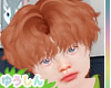 Aika Ginger