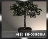 [BGD]Ficus-Tree/Lights 2