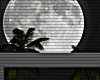 ♡ Night Villa
