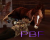 PBF*Dark Br Anim Horse