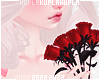 $K Pretty Red Roses