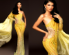 Miss Grand Gown