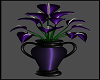 Periwinkle Plant II