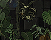 Luxury Wall Plants 2