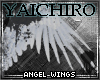 Angel Wings M/F