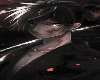 IA Art Cutout 629