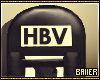 HBv SkateBoard..
