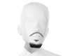 PB Top Beard D CRIA