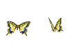 Animated Butterfly