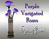 Roses in Vase Purple