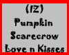 (IZ) Pumpkin Scarecrow
