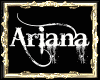 TA Ariana Auburn