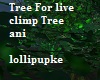 Tree For Live climp Tree