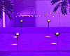 Neon Stage/Palms/Lights