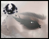 !视力dark eyes.F