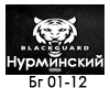 Nurminskiy - Black Guard