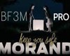 Morandi - Keep you safe