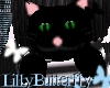 [L] KittyBack Blck/Green