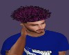N69 CURLY PURPLE