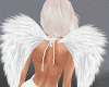 Wings*White
