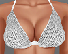 H/Silver Bra Top (L)