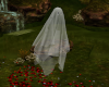 Halloween Ghost