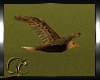 єɴ| Anim Flying Eagle