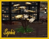 Warehouse Loft LitePlant