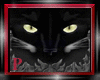 (P) Mood Wall Black Cat