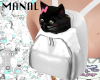 cat in bag white